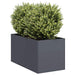 Plantekasse antrasitt 40x80x40 cm kaldvalset stål