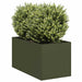 Plantekasse olivengrønn 40x80x40 cm kaldvalset stål