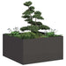 Plantekasse svart 80x80x40 cm kaldvalset stål