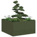 Plantekasse olivengrønn 80x80x40 cm kaldvalset stål