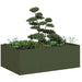 Plantekasse olivengrønn 120x80x40 cm stål