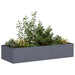 Plantekasse antrasitt 200x80x40 cm stål