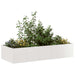 Plantekasse 200x80x40 cm rustfritt stål