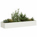Plantekasse hvit 280x80x40 cm stål