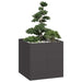 Plantekasse svart 80x80x80 cm stål