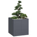 Plantekasse antrasitt 80x80x80 cm stål