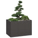 Plantekasse svart 120x80x80 cm stål