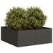 Plantekasse svart 80x80x30 cm stål