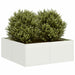 Plantekasse hvit 80x80x30 cm stål