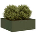 Plantekasse olivengrønn 80x80x30 cm stål
