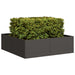 Plantekasse svart 100x100x30 cm stål