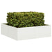 Plantekasse hvit 100x100x30 cm stål