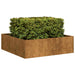 Plantekasse rust 100x100x30 cm forvitringsstål