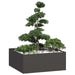 Plantekasse svart 100x100x40 cm stål