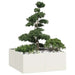 Plantekasse hvit 100x100x40 cm stål