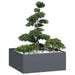 Plantekasse antrasitt 100x100x40 cm stål