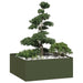 Plantekasse olivengrønn 100x100x40 cm stål