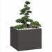 Plantekasse svart 100x100x80 cm stål