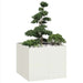 Plantekasse hvit 100x100x80 cm stål