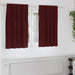 Blendingsgardiner 2 pcs Vinrød 140 x 140 cm Fløyel