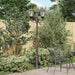 Hage Lys Bronse 68 x 20 x 235 cm Aluminium og glass
