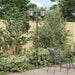 Hage Lys Bronse 68 x 20 x 235 cm Aluminium og glass