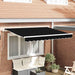 Reserveduk til markise Svart 3,5 x 2,5 m Polyester