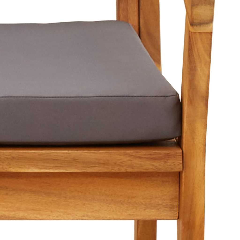 Hage Stol med pute 2 pcs Brun Massivt akasietre