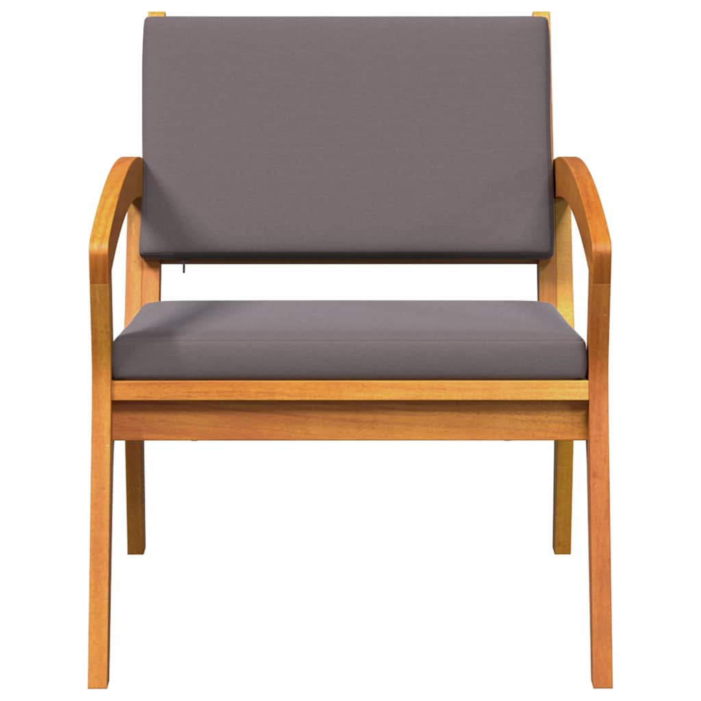Hage Stol med pute 2 pcs Brun Massivt akasietre