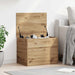 Lagringsboks artisan eik 60 x 42 x 46 cm Konstruert tre