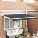 Innvendbar Markise Antrasitt 250 x 200 cm Polyester og Metall vidaXL