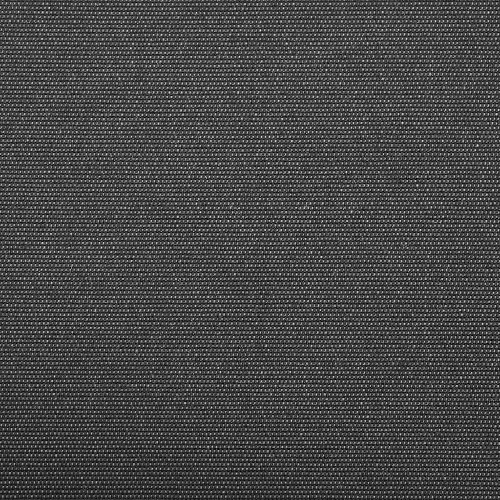 Innvendbar Markise Antrasitt 250 x 200 cm stoff vidaXL
