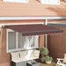 Innvendbar Markise Brun 250 x 200 cm stoff
