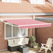 Uttrekkbar markise Rød 300 x 250 cm Polyester og Metall