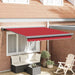 Uttrekkbar markise Rød 300 x 250 cm Lær og aluminium