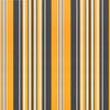 Innvendbar Markise 450 × 300 cm Flerfarget