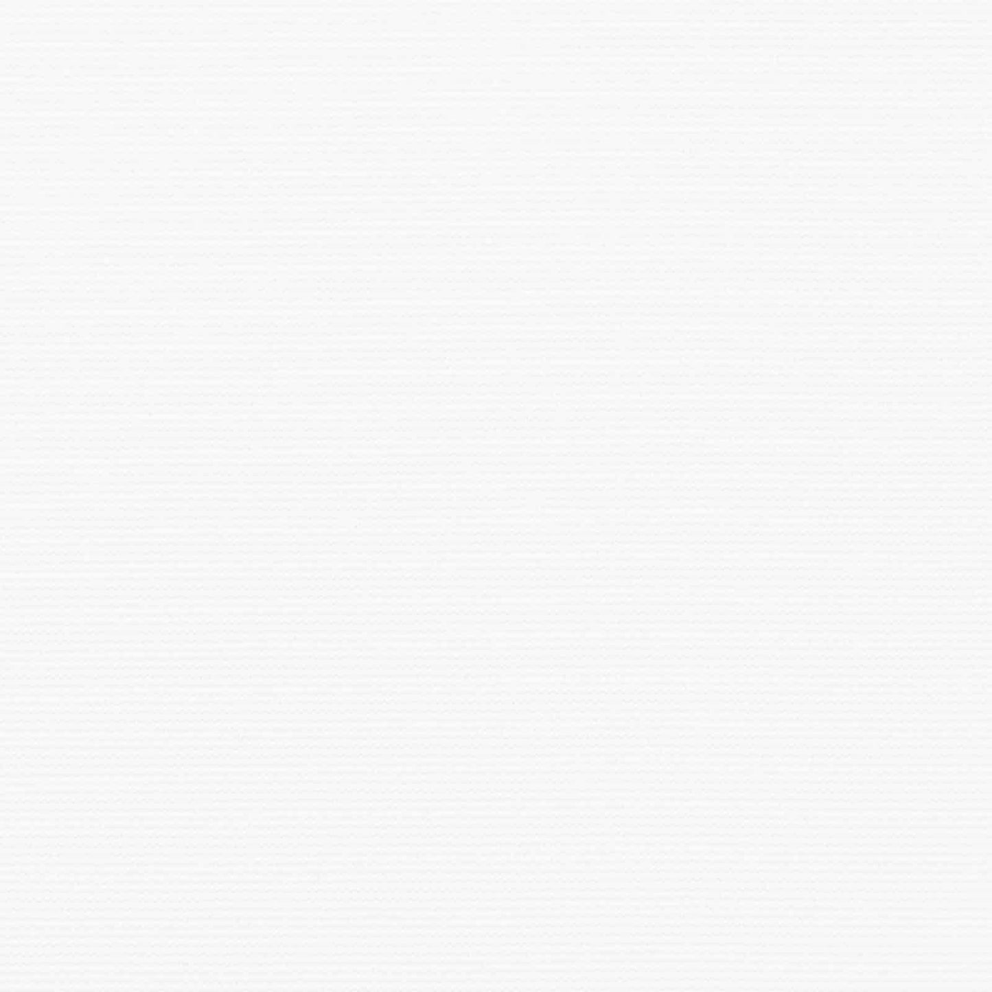 Innvendbar Markise Hvit 450 × 300 cm Polyester og stål vidaXL