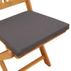 Sammenleggbart stol med pute Folding 2 pcs Grå 49 x 57.5 x 92cm
