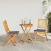 Sammenleggbart stol med pute Folding 2 pcs Grå 49 x 57.5 x 92cm