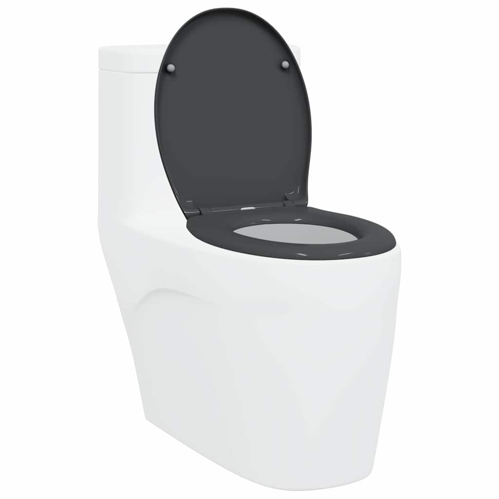 Toalettsete Antrasitt 47 x 37 x 4 cm Duroplast