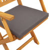 Sammenleggbart stol med pute Folding 8 pcs Grå 49 x 57.5 x 92cm