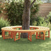 Trebens 2 pcs Naturlig 160 x 80 x 45cm Solid Eucalyptus Tre