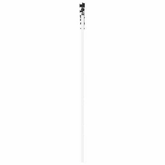 Skyvedør Hvit 61 x 198,5 cm Massivt furutre og glass