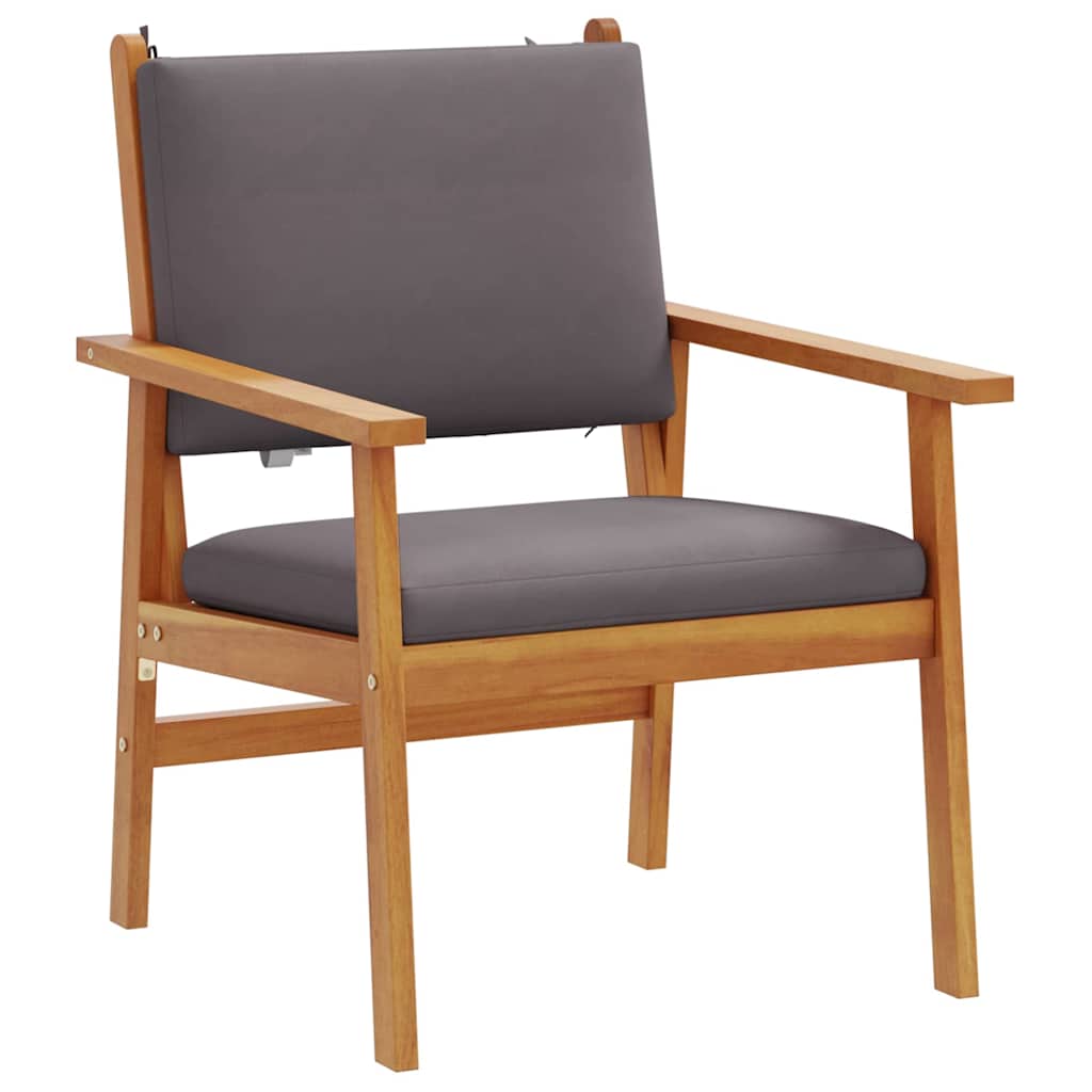 Hage Stol med pute 2 pcs Brun Massivt akasietre