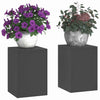 Plantestander 2 pcs Svart 24 x 24 x 35 cm Stål