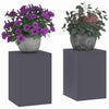 Plantestander 2 pcs Antrasitt 24 x 24 x 35 cm Stål