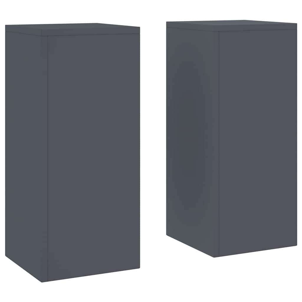 Planteholder 2 pcs Antrasitt 24 x 24 x 55 cm Stål