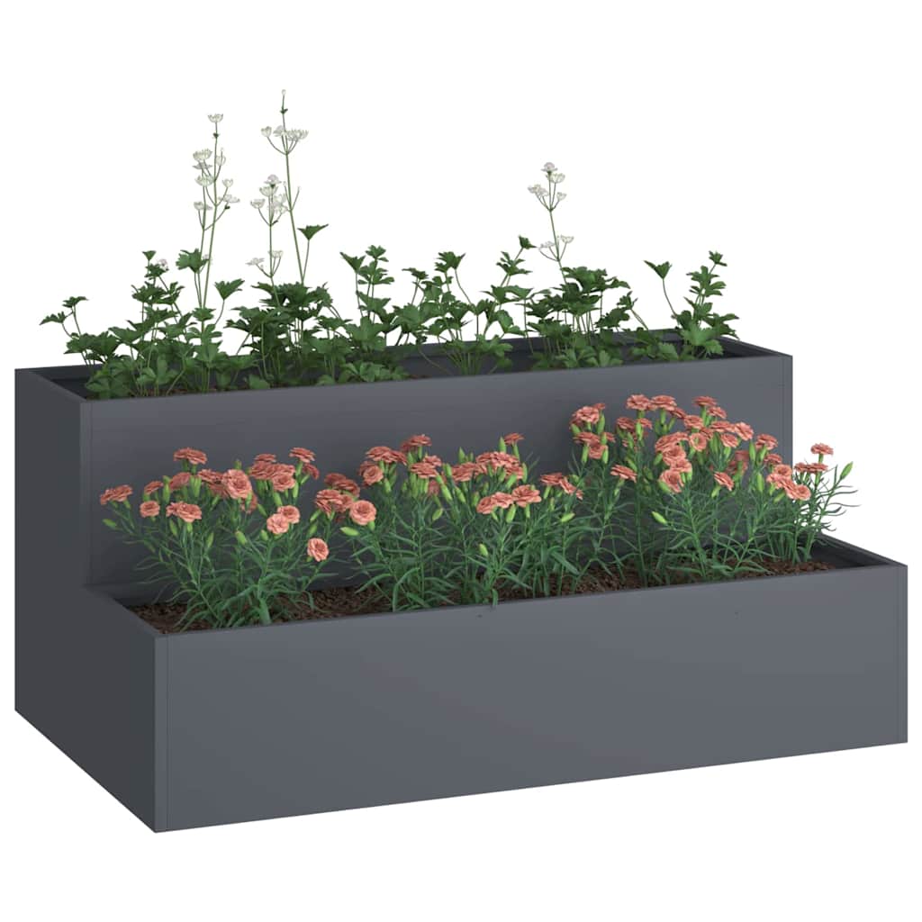Hageblomsterpotte Antrasitt 100 x 60 x 45 cm Kaldvalsestål