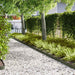 Gjerdekant 20 pcs Olivengrønn 100 x 0,05 x 15 cm