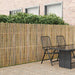 Bambusgjerde Naturlig 600 x 150 cm Bambus vidaXL